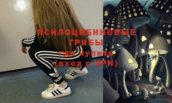 крисы Белоозёрский