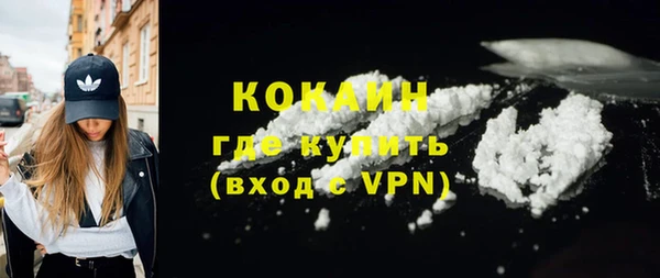 прущие грибы Богородицк