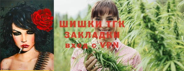 прущие грибы Богородицк