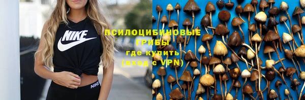 крисы Белоозёрский