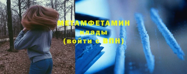 прущие грибы Богородицк